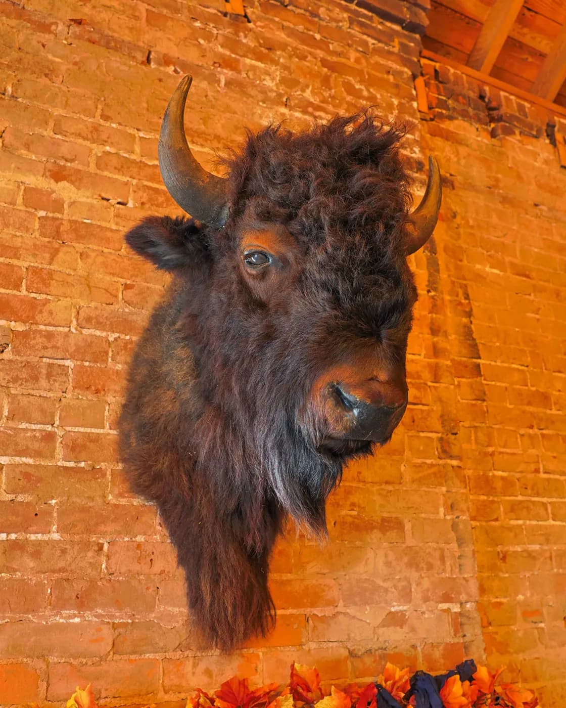 The bison head mounted on the exposed brick wall of The Boardroom